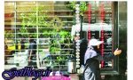 در جستجوی ٣٠ میلیارد دلار گمشده!