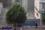 فردا باد به داد هوای پایتخت کشور عزیزمان ایران میرسد